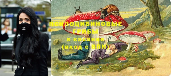 герыч Бородино