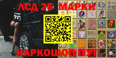спиды Новозыбков