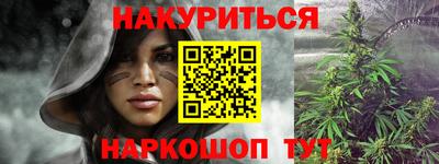 спиды Новозыбков