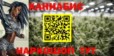 спиды Новозыбков