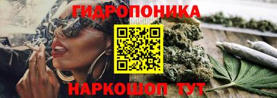 альфа пвп Новокубанск