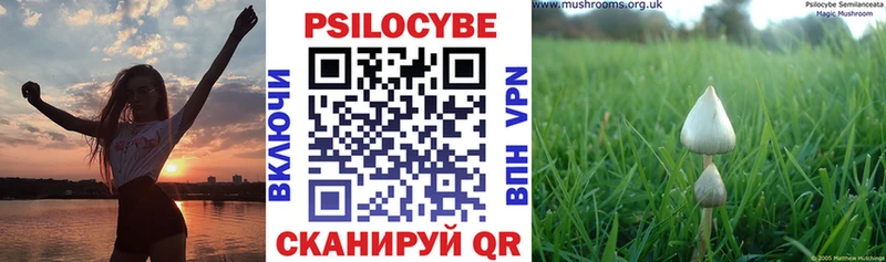 Галлюциногенные грибы мухоморы  купить наркоту  Бутурлиновка 