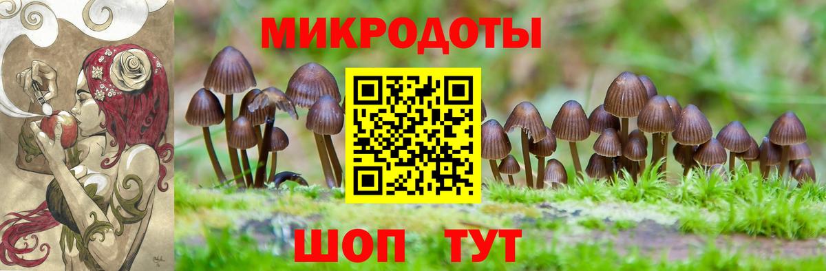 Псилоцибиновые грибы мицелий Бутурлиновка